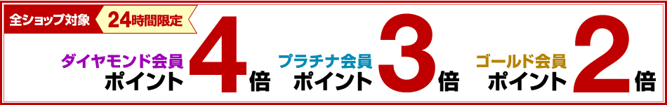 24時間限定 エントリーでポイント最大4倍