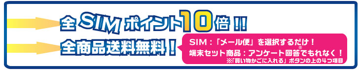 全SIMポイント10倍