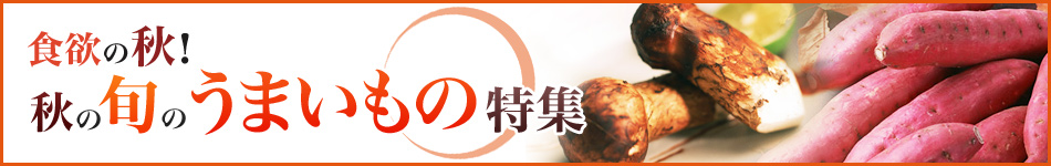 秋の旬のうまいもの特集 2013