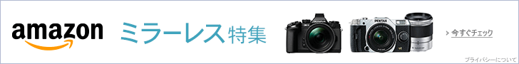 ミラーレス一眼特集