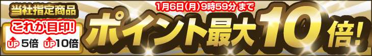 ポイント最大10倍