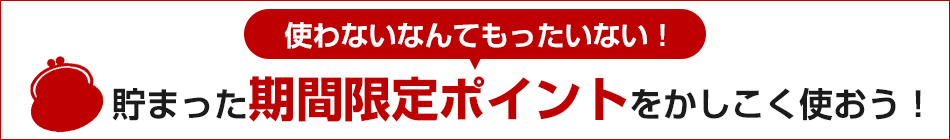 ポイントを使ってお得にお買い物特集