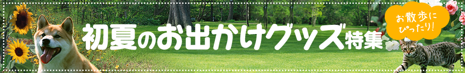 初夏のお出かけグッズ特集