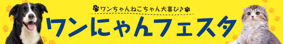 お得がいっぱい！わんにゃんフェスタ