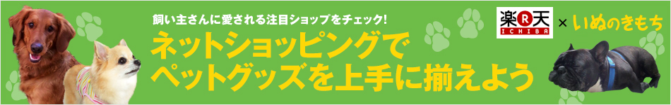 いぬのきもち×楽天市場コラボ企画