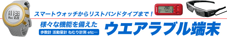 様々な機能を備えたウェアラブル端末