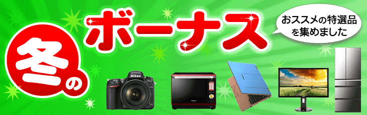 冬のボーナス特集