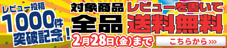 レビューを書いて送料無料