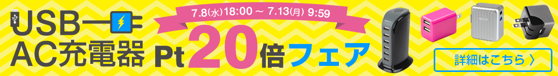 USB AC充電器 ポイント20倍フェア