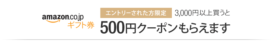 500円クーポンプレゼント