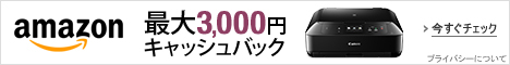 最大3,000円キャッシュバック