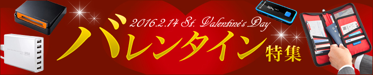バレンタインプレゼント特集