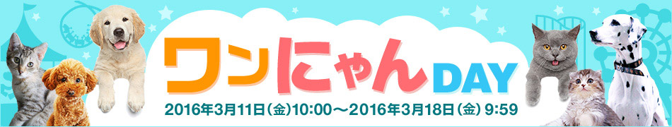 ワンにゃんDAY
