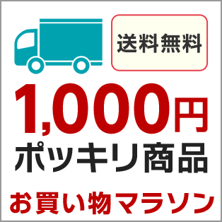 送料無料1,000円ポッキリ