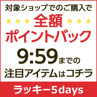 毎日100名様全額ポイントバックプレゼント